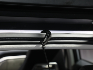 2019������� ���g����