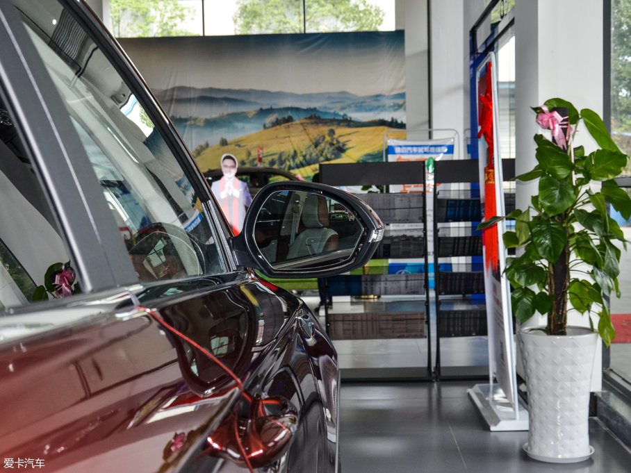 2017CCS10 2.0T DCTWj