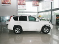 2008���Ա�CS6 ����
