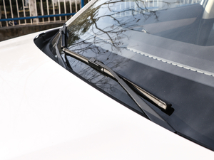 20181.5T քӄL(fng) ˢ