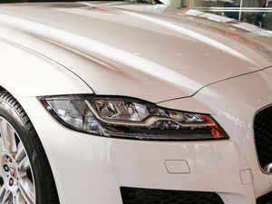 2019250PS (q) (x)(ji)^