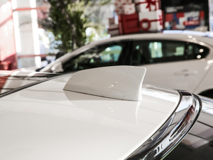 2019250PS (q) (x)(ji)^