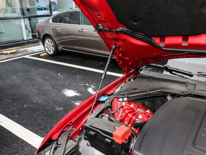 2019款2.0T 200PS 豪华版 其它
