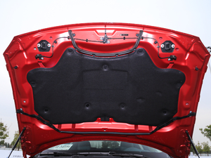 2020款2.0T 250PS 豪华运动版 其它