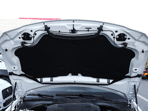 20202.0T 200PS MȡŰ 