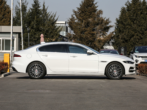 20202.0T 250PS ƼŰ w^