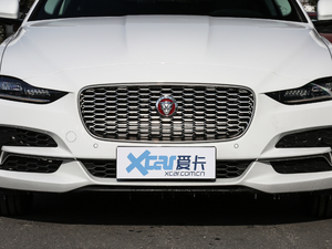 2020款2.0T 250PS 科技优雅版 中网