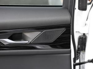 20202.0T 250PS ƼŰ g