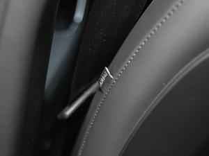 20202.0T 250PS ƼŰ g