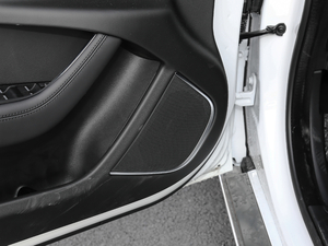 20202.0T 250PS ƼŰ g