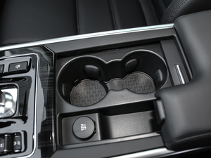 20202.0T 250PS ƼŰ g