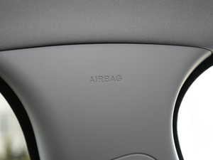 20202.0T 250PS ƼŰ g