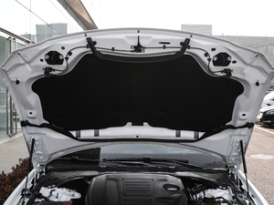 20202.0T 250PS Ƽ(yu)Ű 