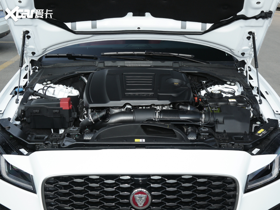 2022ݱXFL 2.0T P250 򌾫Ӣ\Ӱ