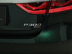 20212.0T P300 (q)Ş\(yn)(dng) (x)(ji)^