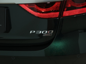 20212.0T P300 (q)Ş\(yn)(dng) (x)(ji)^