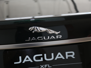 20212.0T P300 (q)Ş\(yn)(dng) (x)(ji)^