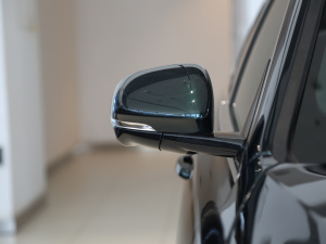 2021款2.0T P300 四驱旗舰运动版 后视镜