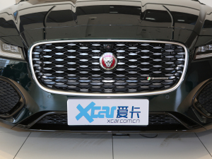 2021款2.0T P300 四驱旗舰运动版 中网