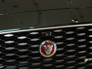 20212.0T P300 (q)Ş\(yn)(dng) (x)(ji)^