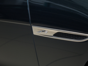 20212.0T P300 Ş\Ӱ (ji)^