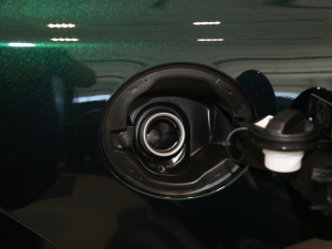 20212.0T P300 Ş\Ӱ (ji)^