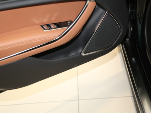 20212.0T P300 Ş\Ӱ ǰTg