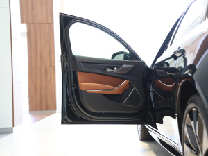 2021款2.0T P300 四驱旗舰运动版 驾驶位车门
