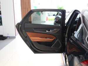 2021款2.0T P300 四驱旗舰运动版 左后车门