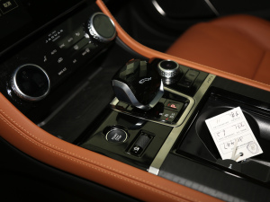2021款2.0T P300 四驱旗舰运动版 换挡杆