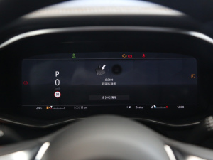 2021款2.0T P300 四驱旗舰运动版 仪表