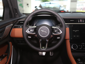 2021款2.0T P300 四驱旗舰运动版 方向盘