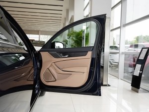 20212.0T P250 (q)A g