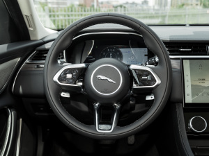 2021款2.0T P200 两驱精英豪华版 方向盘