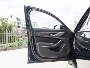 2021款2.0T P200 两驱精英豪华版 驾驶位车门