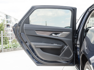 2021款2.0T P200 两驱精英豪华版 左后车门