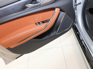 20212.0T P250 ׺\Ӱ g