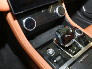 20212.0T P250 ׺\Ӱ g