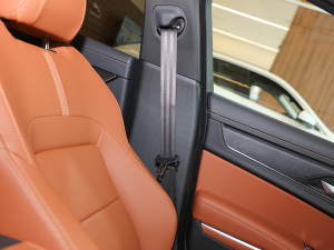 20212.0T P250 ׺\Ӱ g