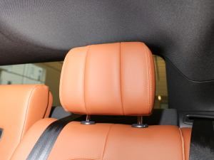 20212.0T P250 ׺\Ӱ g