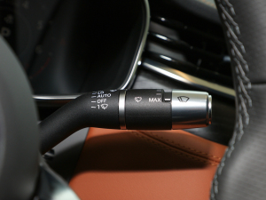 20212.0T P250 (q)׺\(yn)(dng) п؅^(q)