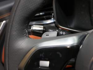 20212.0T P250 (q)׺\(yn)(dng) п؅^(q)