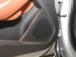 20212.0T P250 (q)׺\(yn)(dng) п؅^(q)