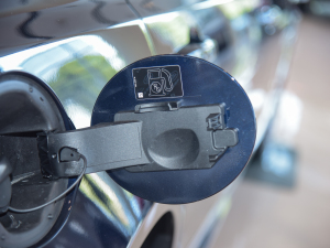 20212.0T P250 (q)Ӣ\(yn)Ӱ (x)(ji)^