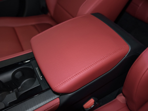 2021款2.0T P250 两驱精英运动版 中央扶手箱