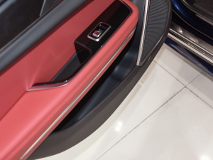 2021款2.0T P250 两驱精英运动版 后门储物空间