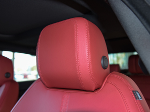 20212.0T P250 򌾫Ӣ\Ӱ g