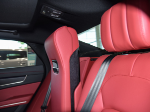 20212.0T P250 򌾫Ӣ\Ӱ g