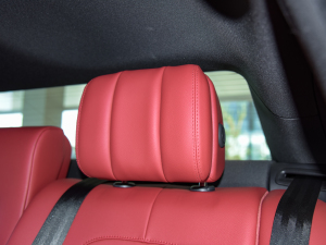 20212.0T P250 򌾫Ӣ\Ӱ g