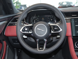 2021款2.0T P250 两驱精英运动版 方向盘